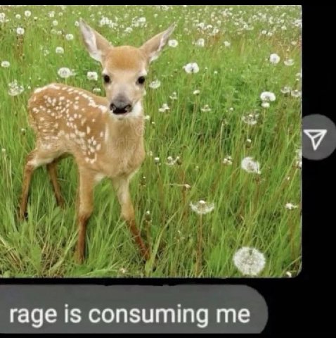 at у rage 1$ consuming me