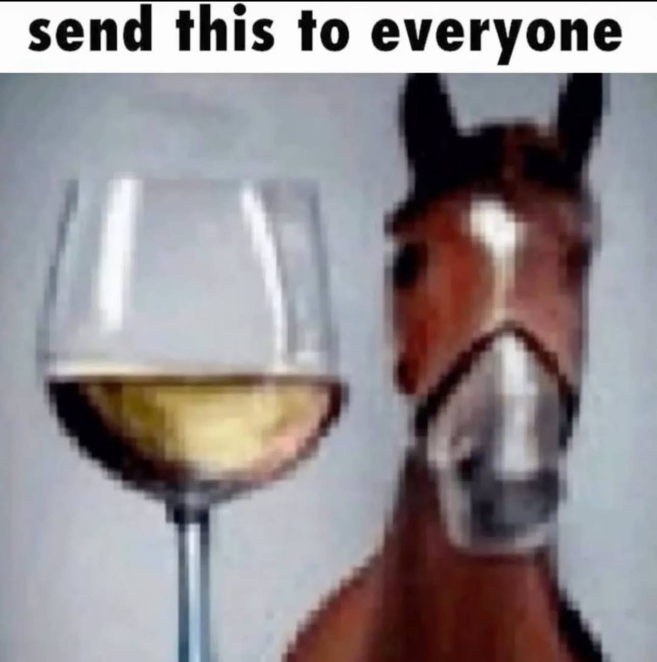 send this to everyone