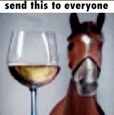 send this to everyone