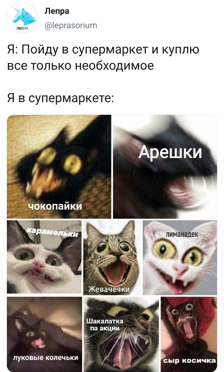 Лепра Я: Пойду в супермаркет и куплю все только необходимое Я в супермаркете: Арешки гель лиманадек Жевачечки а Шакалатка акции луковые колечьки сыр