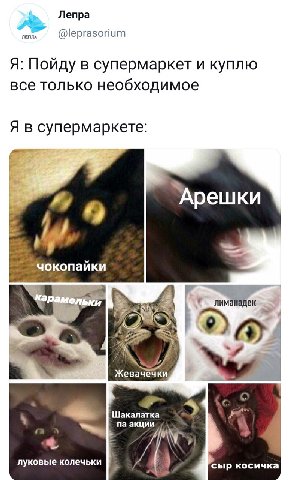 Лепра Я: Пойду в супермаркет и куплю все только необходимое Я в супермаркете: Арешки гель лиманадек Жевачечки а Шакалатка акции луковые колечьки сыр