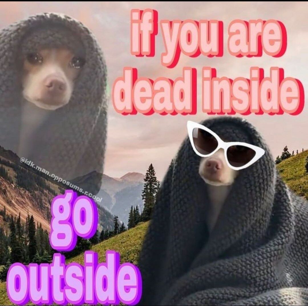 if you-are
