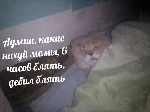 какие ‚мемия, 6 часов блять, дебил блять