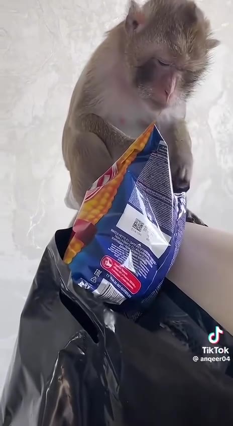 мой сынок