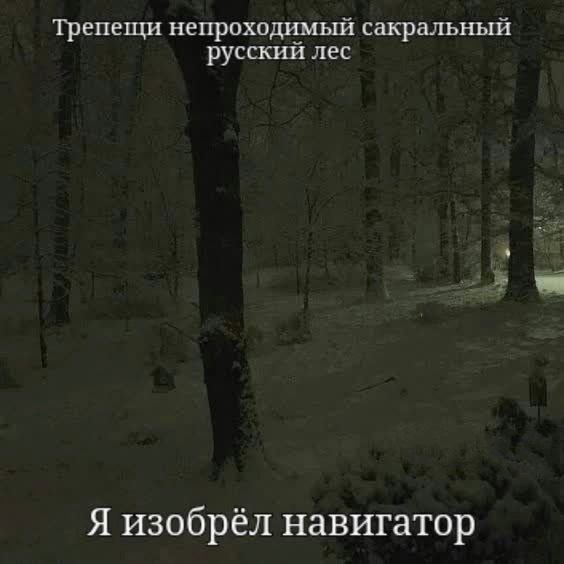 Трепещи непроходимый сакральный русский лес Я изобрёл навигатор