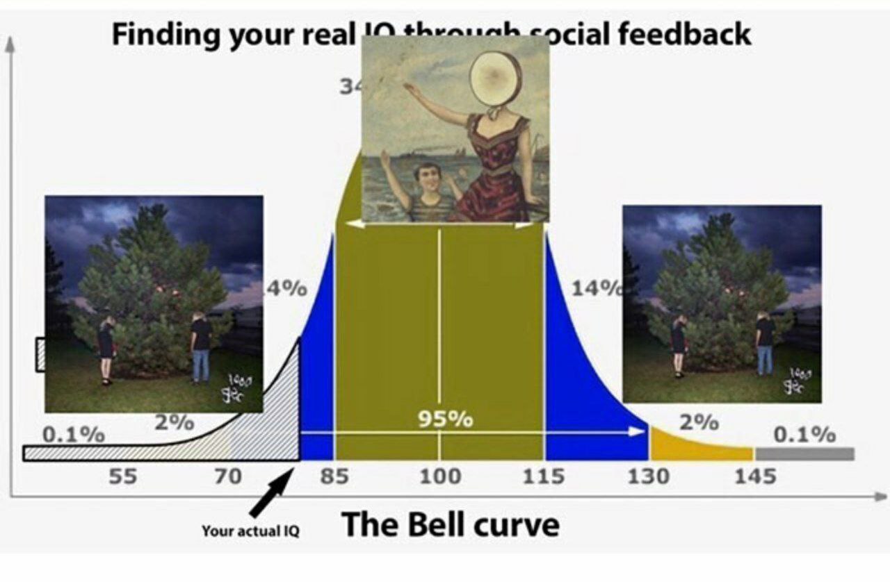 оста! feedback Finding your real 4% 14% 95% 2% 0.1% 0.1% 55 70 85 100 115 130 145 Your actual The Bell curve