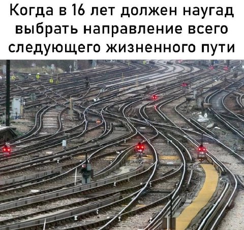 Когда в 16 лет должен наугад выбрать направление всего следующего жизненного пути и