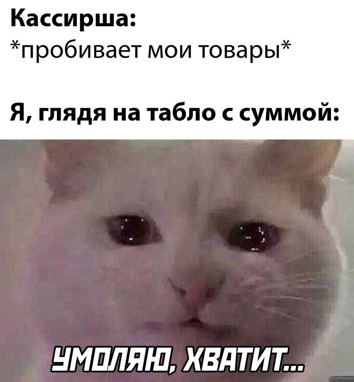 Кассирша: *пробивает мои товары* Я, глядя на табло с суммой: УМОЛЯЮ,