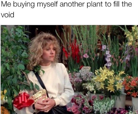 Me buying myself another plant to fill the void