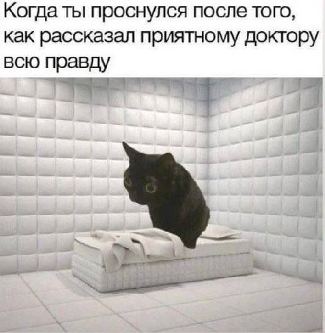 Когда ты проснулся после того, как рассказал приятному доктору всю правду к: