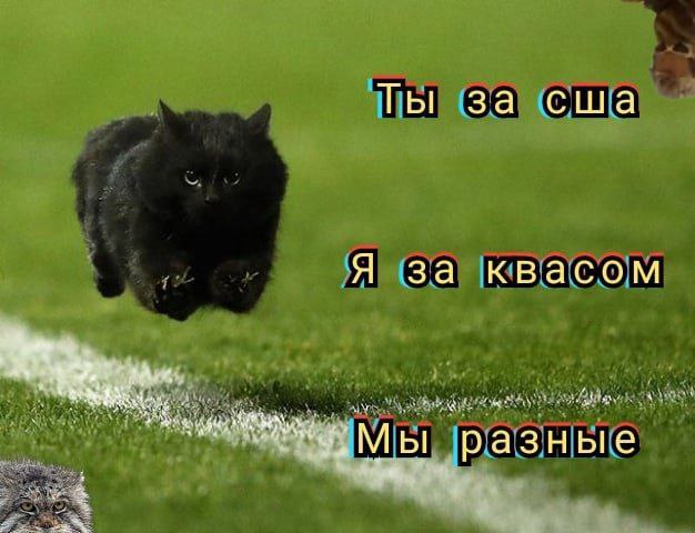 Ты за сша Я за квасом разные