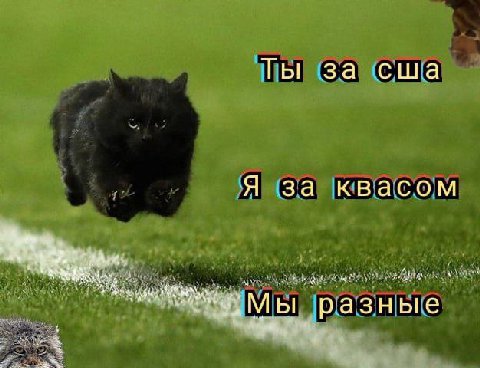 Ты за сша Я за квасом разные