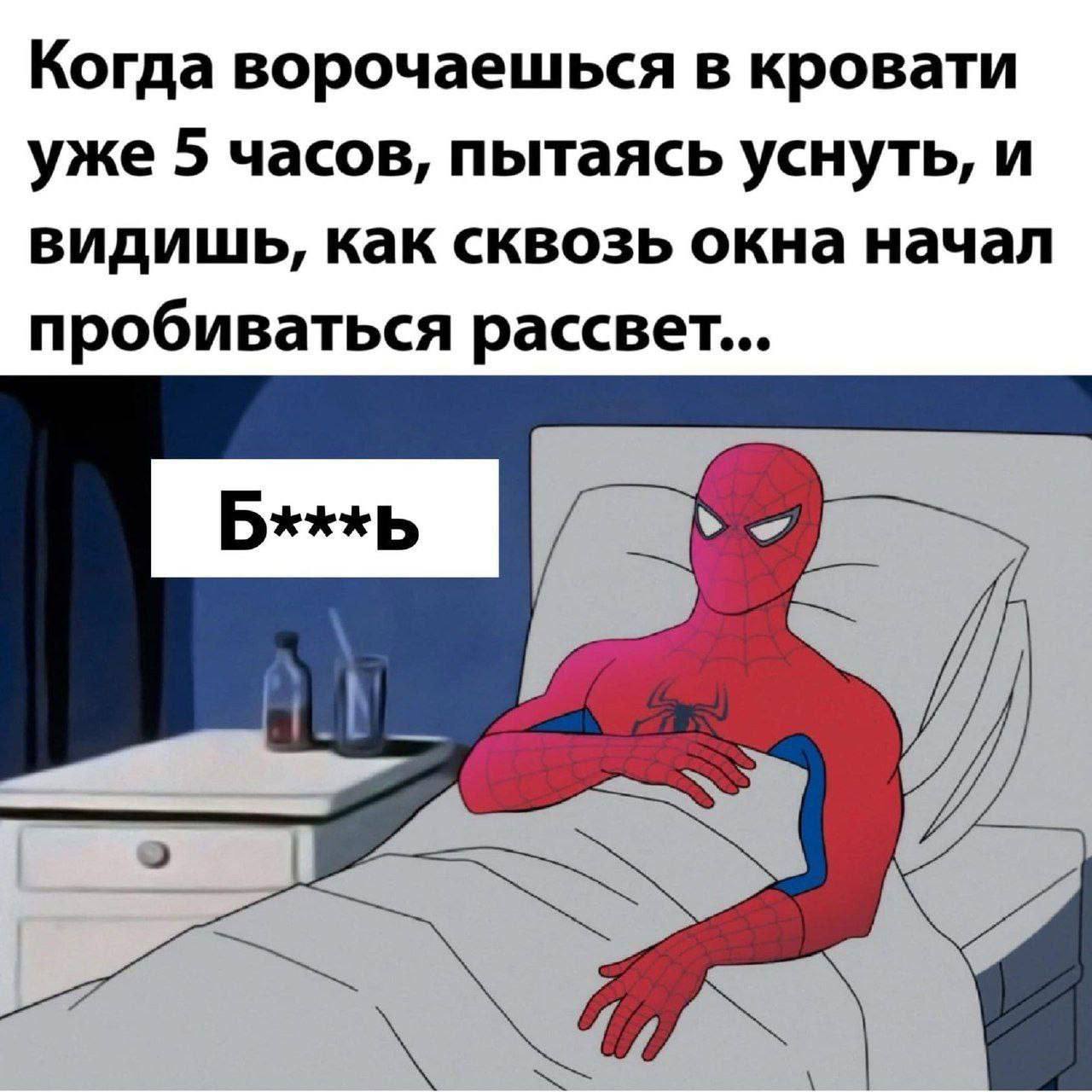 Когда ворочаешься в кровати уже 5 часов, пытаясь уснуть, и видишь, как сквозь окна начал пробиваться рассвет...