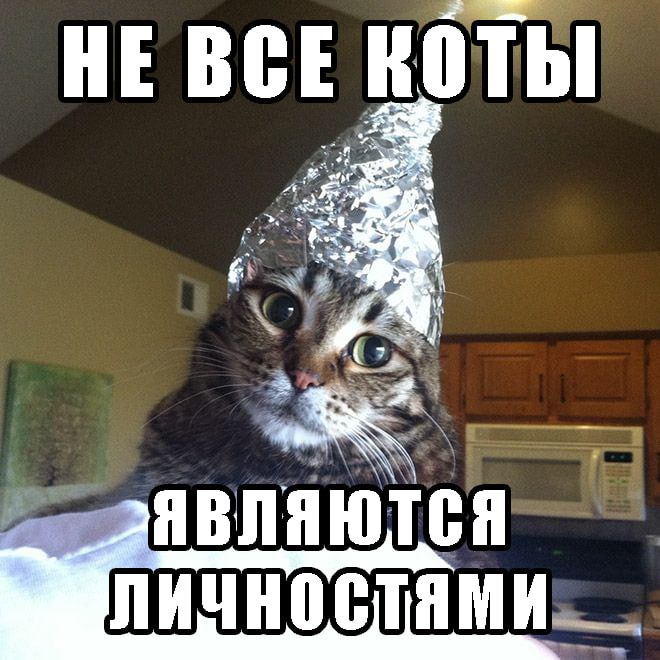 НЕ ВСЕ КОТЫ 1