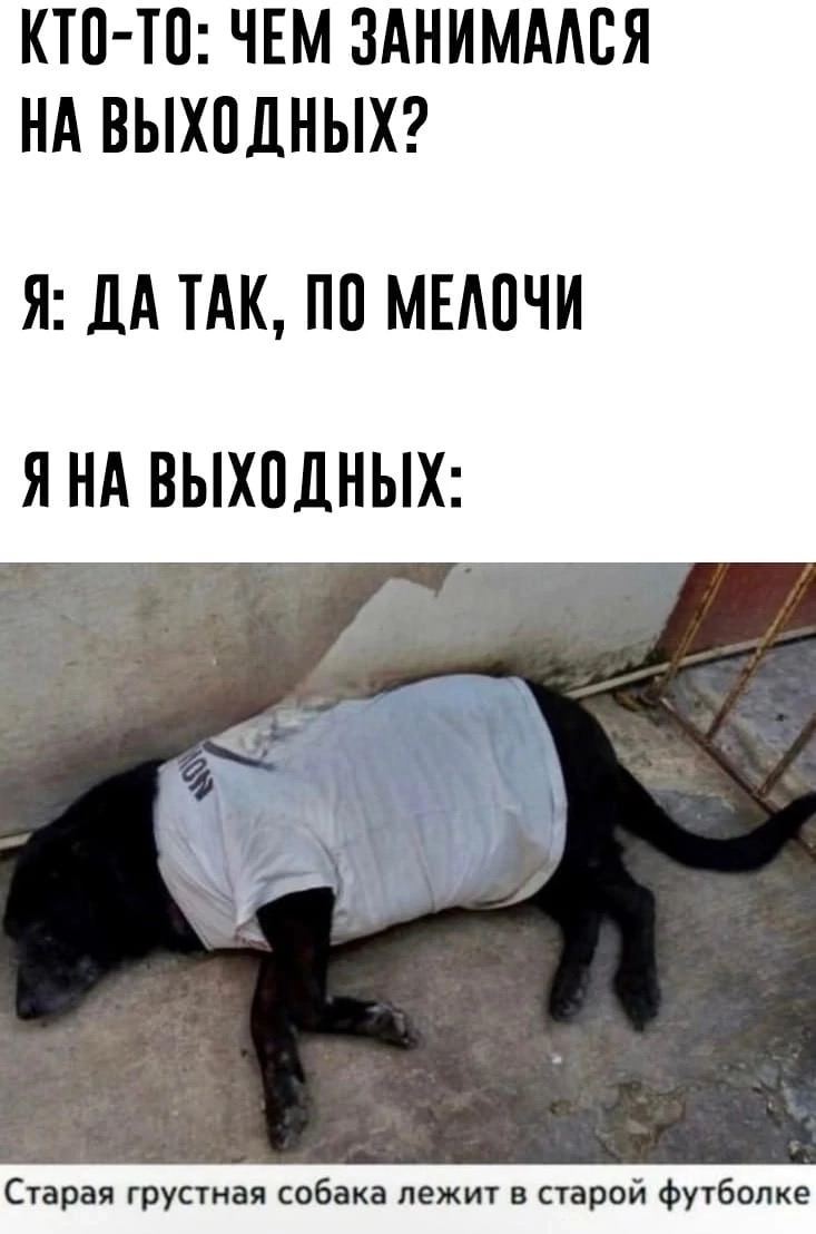 КТО-ТО: ЧЕМ ЗАНИМАЛСЯ НА ВЫХОДНЫХ? Я: ДАТАК, ПО МЕЛОЧИ ЯНА ВЫХОДНЫХ.