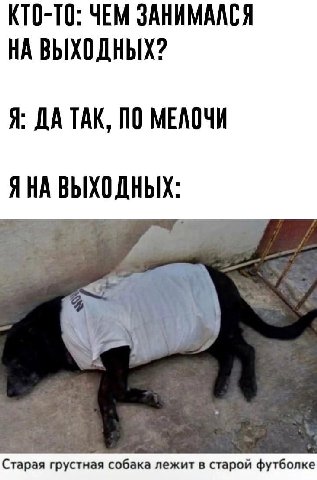 КТО-ТО: ЧЕМ ЗАНИМАЛСЯ НА ВЫХОДНЫХ? Я: ДАТАК, ПО МЕЛОЧИ ЯНА ВЫХОДНЫХ.