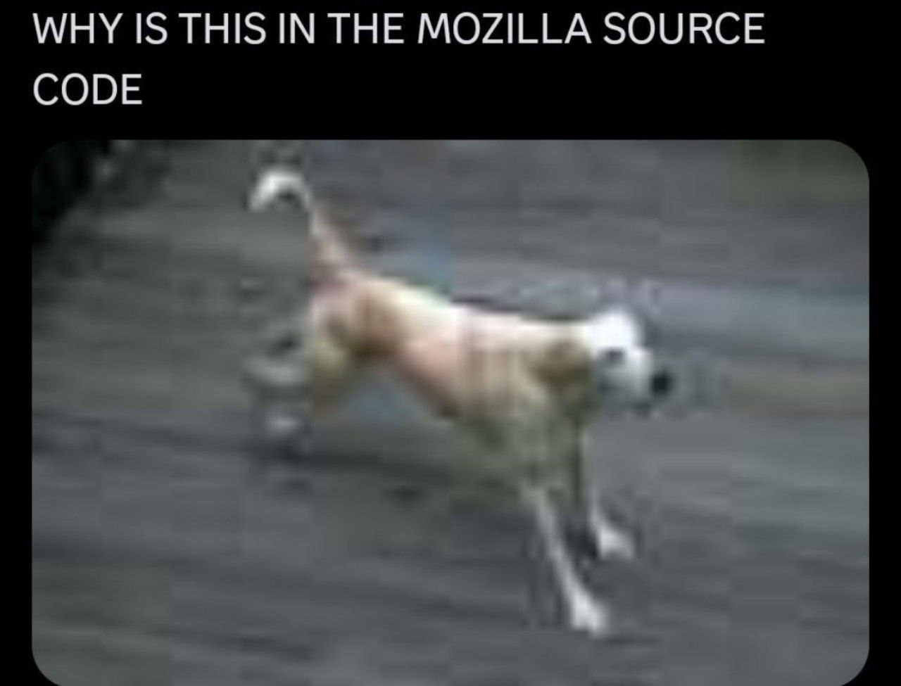 WHY IS THIS IN THE MOZILLA SOURCE CODE