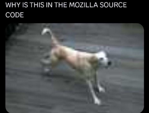 WHY IS THIS IN THE MOZILLA SOURCE CODE
