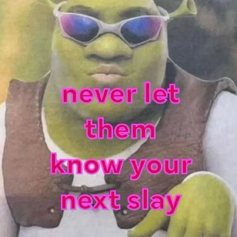 взрослый мужик это блять постит