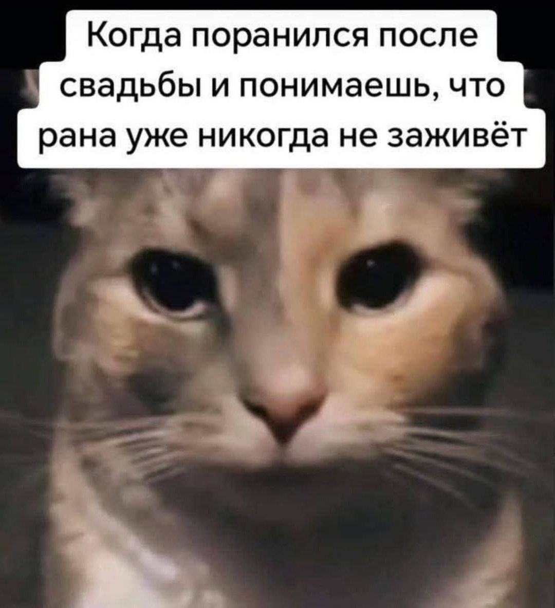 Когда поранился после свадьбы и понимаешь, что рана уже никогда не заживёт