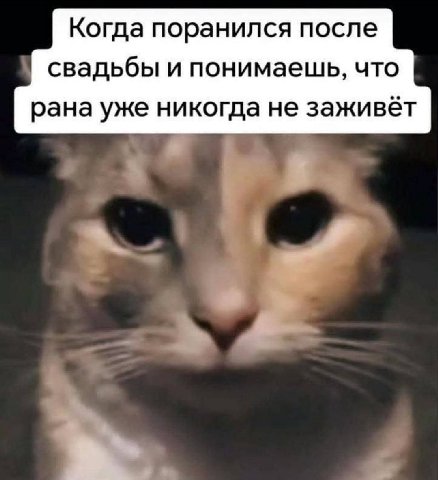 Когда поранился после свадьбы и понимаешь, что рана уже никогда не заживёт