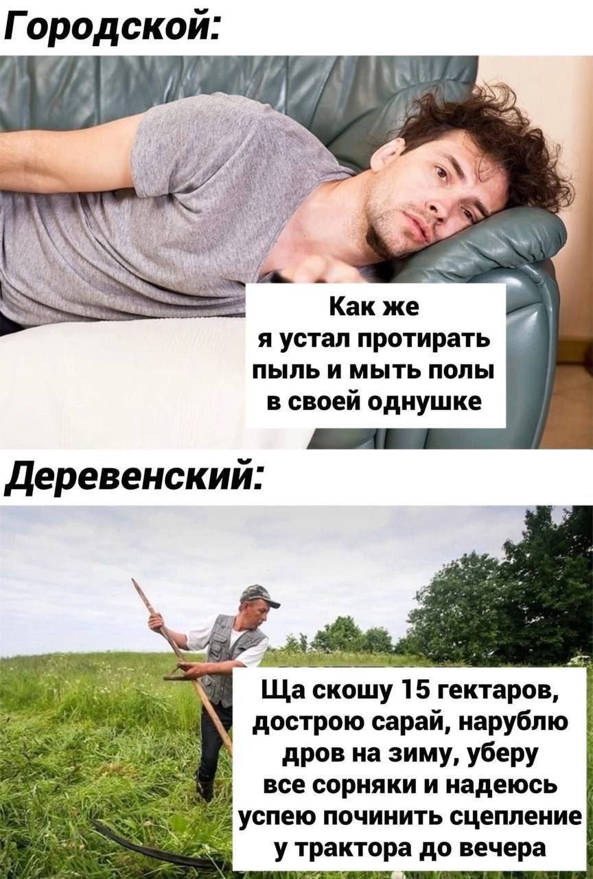 ородской: a Mey Как же я устал протирать ПЫЛЬ И МЫТЬ ПОЛЫ в своеи однушке Деревенскии: eve скошу 15 гектаров, дострою сарай, нарублю 23 дров на зиму, уберу все сорняки и надеюсь №2 успею починить сцеп