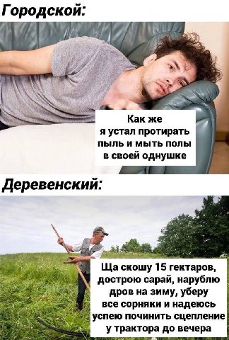 ородской: a Mey Как же я устал протирать ПЫЛЬ И МЫТЬ ПОЛЫ в своеи однушке Деревенскии: eve скошу 15 гектаров, дострою сарай, нарублю 23 дров на зиму, уберу все сорняки и надеюсь №2 успею починить сцеп