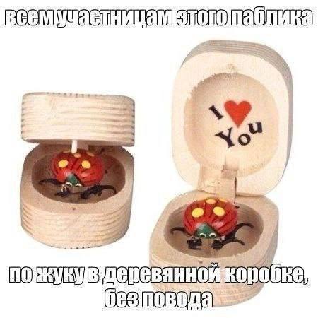 всемучастницаматогопаслина a f Е =| у. ene OPEV RYE депеванноикорооке безповода