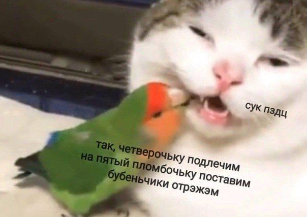 ПЛО бочьку Поставим