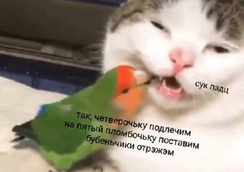 ПЛО бочьку Поставим