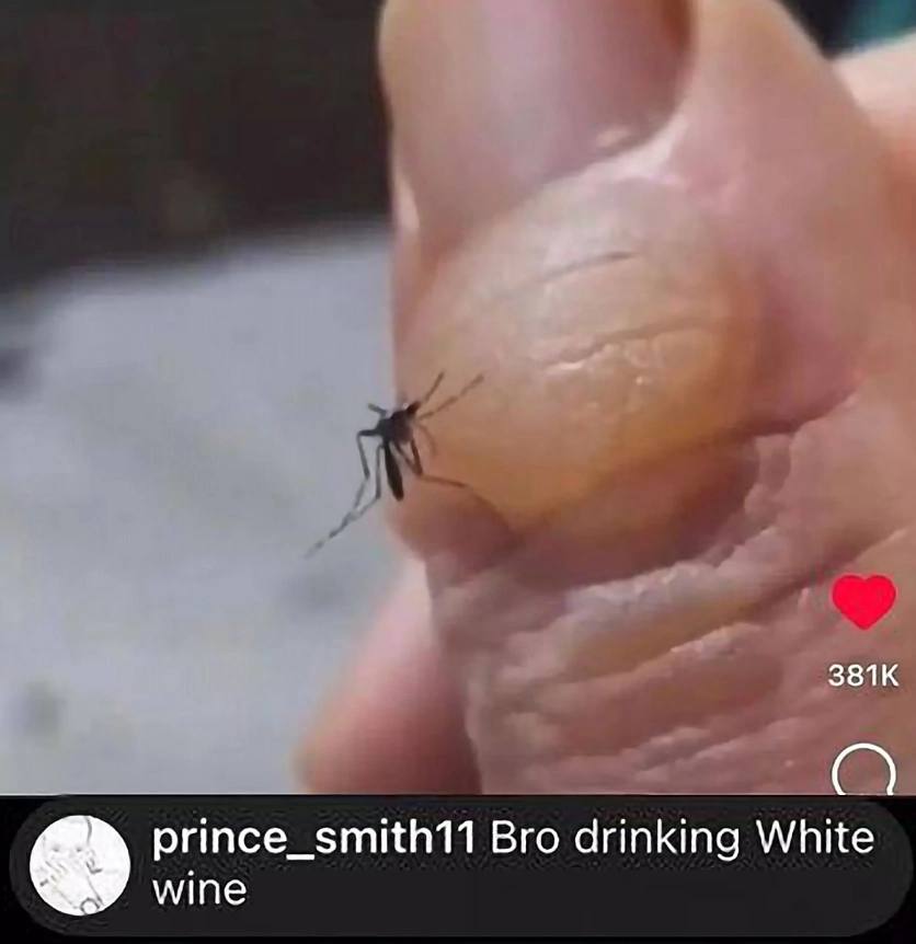 prince_smith11 Bro drinking White wine