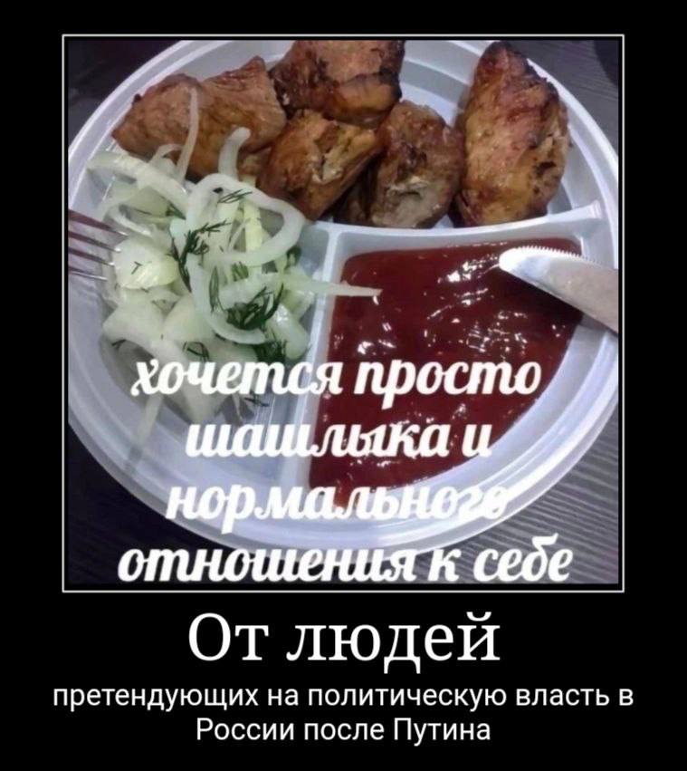 хочется шашлыка себе людей претендующих на политическую власть в России после Путина