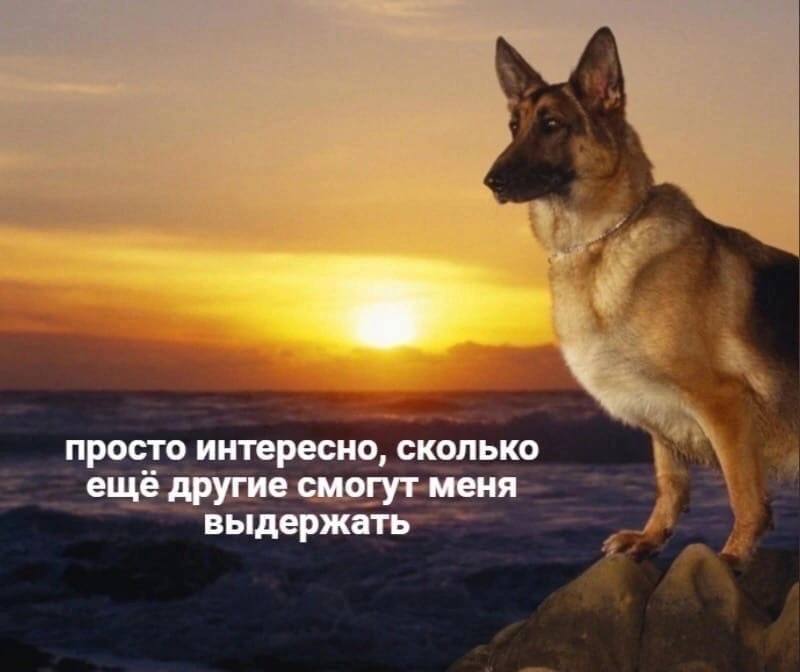 просто интересно, сколько ещё другие смогут меня выдержать