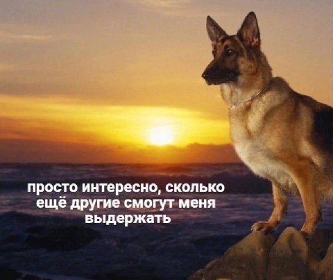 просто интересно, сколько ещё другие смогут меня выдержать