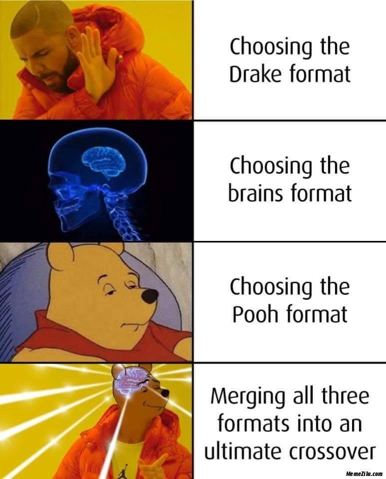 Choosing the Drake format Choosing the brains format Choosing the Pooh format Merging all three a formats into an ultimate crossover MemeZila.com