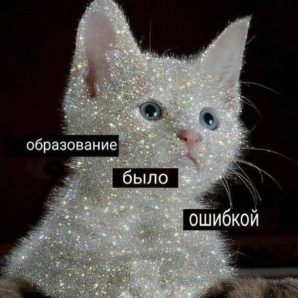 образование" было a ОШИ бкой