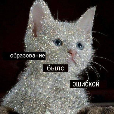 образование" было a ОШИ бкой