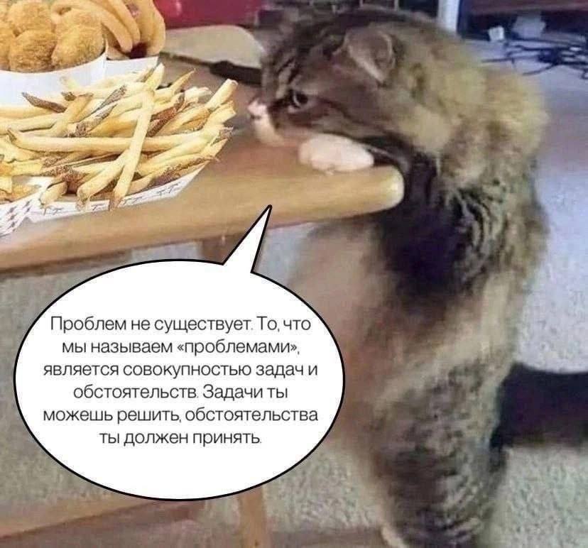 2 Проблем не существует. То, что мы называем «проблемами», является совокупностью задач и обстоятельств. Задачи ты можешь решить, обстоятельства ты должен принять. he 7%