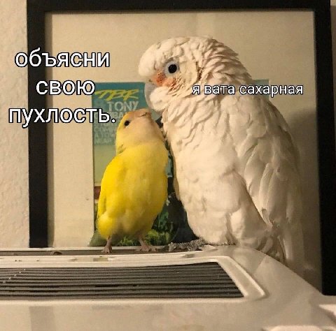 объясни свою сахарная пухлость.