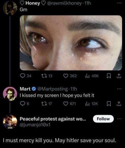 ОНопеу 34 1313 362 Mart kissed my screen hope you felt it 671 Об 12К Peaceful protest against must mercy kill you. May hitler save your soul.