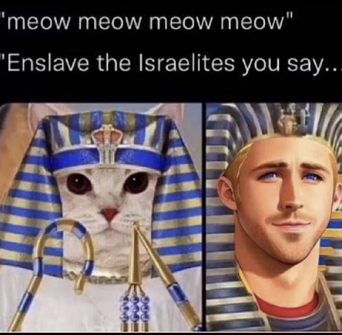 ‘meow meow meow meow" the Israelites you say.. 7