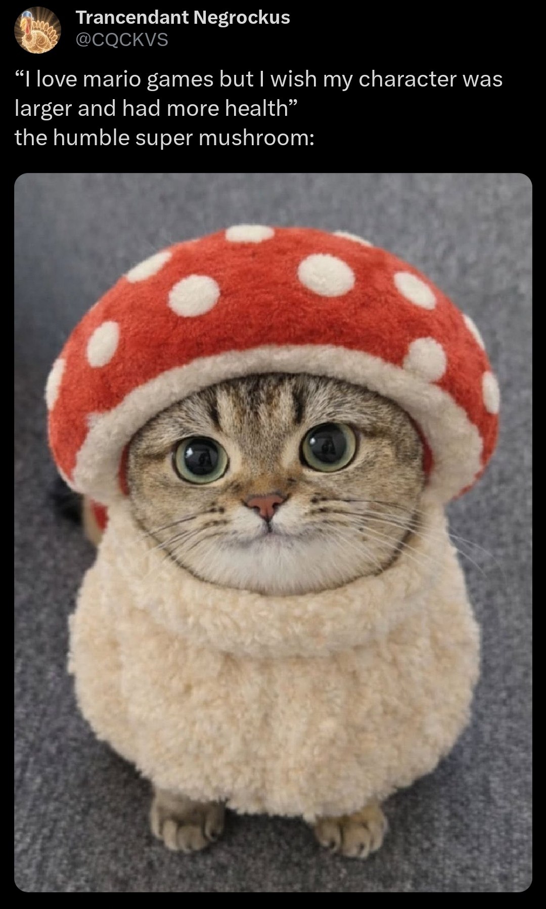Trancendant Negrockus “Поуе mario games but wish my character was larger and had more health” the humble super mushroom: у 2 В a
