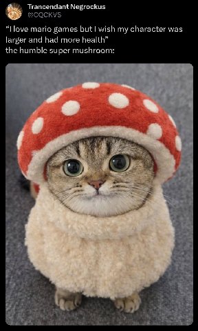 Trancendant Negrockus “Поуе mario games but wish my character was larger and had more health” the humble super mushroom: у 2 В a