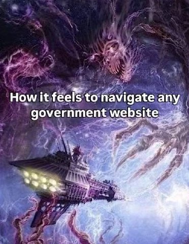 How it feels to navigate any government website