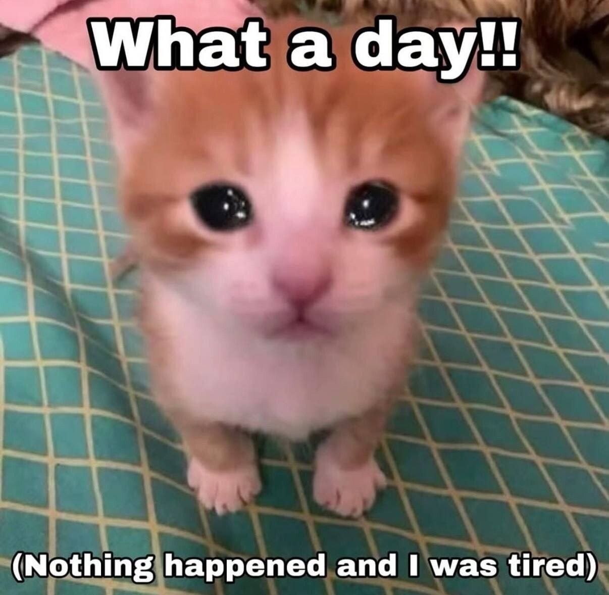 What а day!! (Nothing happened and 1 was tired)