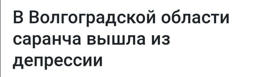В Волгоградской области саранча вышла из депрессии