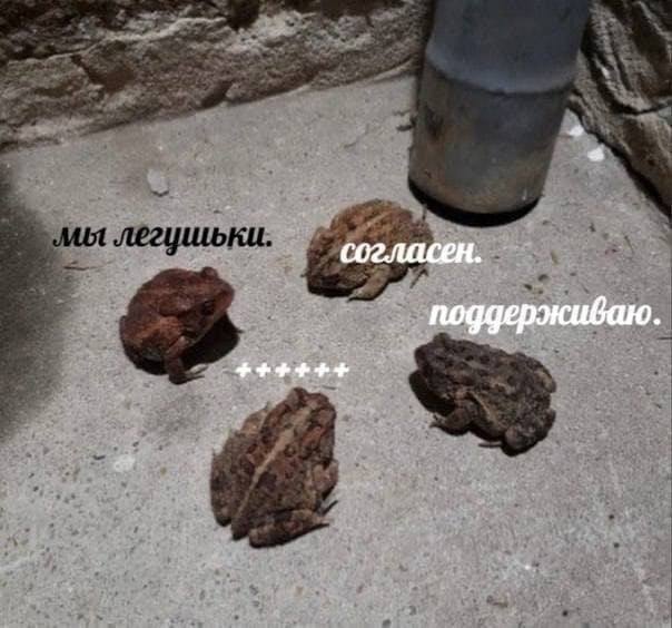 согласен. поддерживаю.