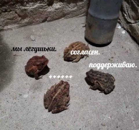 согласен. поддерживаю.