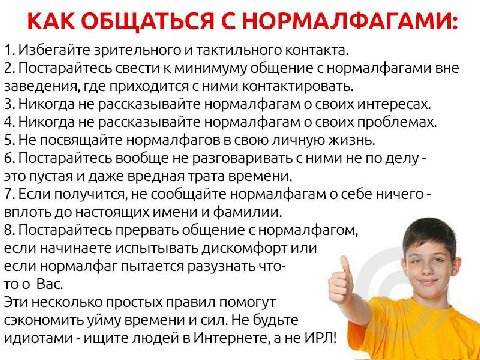 КАК ОБЩАТЬСЯ С НОРМАЛФАГАМИ: 1. Избегайте зрительного и тактильного контакта. 2. Постарайтесь свести к минимуму общение снормалфагами вне заведения, где приходится сними контактировать. 3. Никогда не 