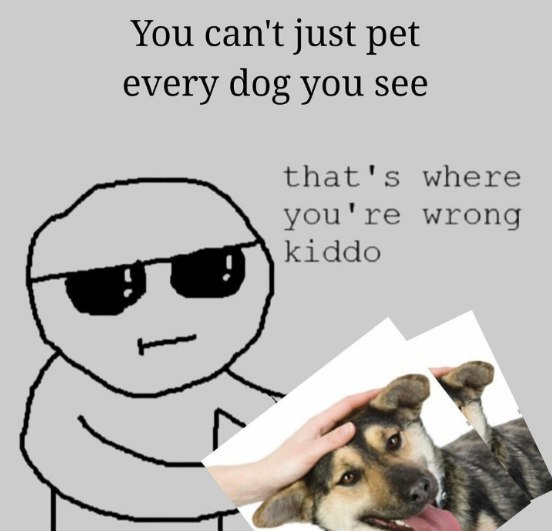You can't just pet every dog you see that's where you're wrong kiddo